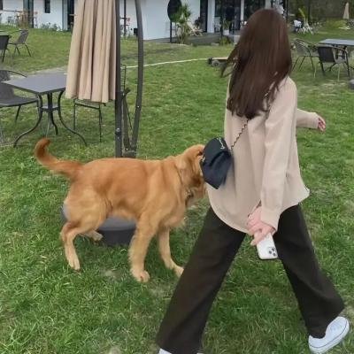 心狂线索
